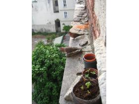 photo coins arrondis