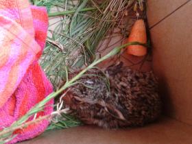 photo coins arrondis