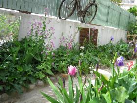 photo coins arrondis