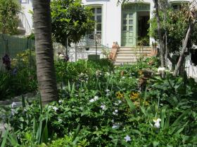 photo coins arrondis