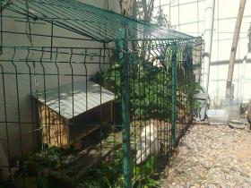 photo coins arrondis