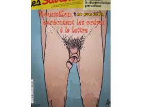 photo coins arrondis