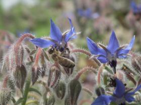 photo coins arrondis