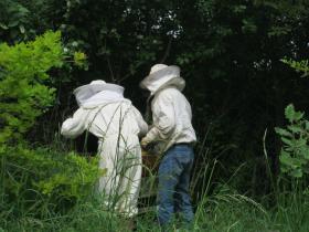 photo coins arrondis