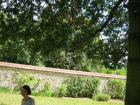 photo coins arrondis