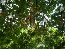 photo coins arrondis