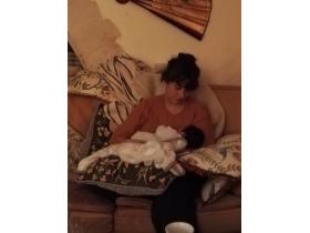 photo coins arrondis