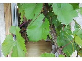 photo coins arrondis