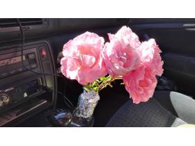 photo coins arrondis