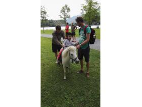 photo coins arrondis