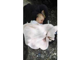 photo coins arrondis