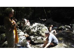 photo coins arrondis