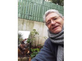 photo coins arrondis