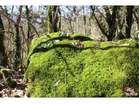 photo coins arrondis