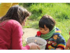 photo coins arrondis