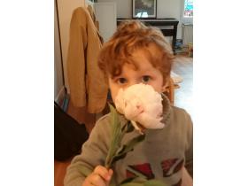 photo coins arrondis