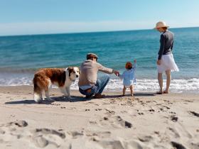 photo coins arrondis