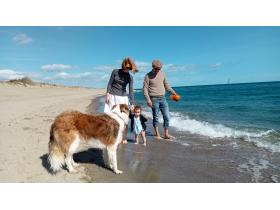 photo coins arrondis