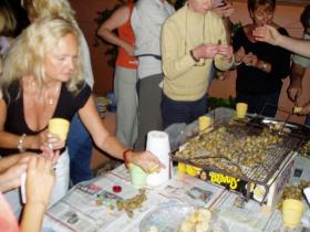 photo coins arrondis