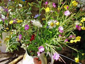 Image al&eacute;atoire