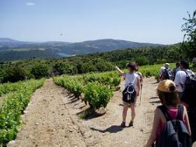 Image al&eacute;atoire